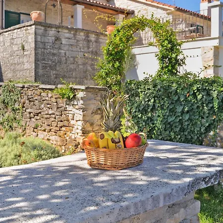 Hébergement de vacances House Marko 1240