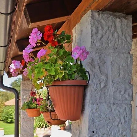 Holiday home House Marko 1240 *